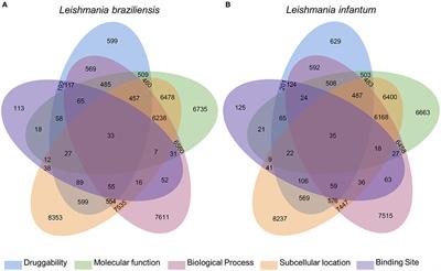 Systematic in silico Evaluation of Leishmania spp. Proteomes for Drug Discovery